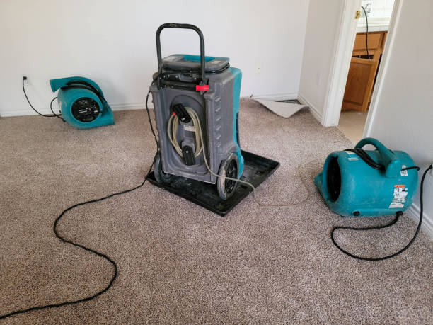 Best Professional water damage repair  in De Leon Springs, FL