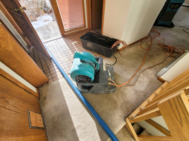 Trusted De Leon Springs, FL Water damage restoration Experts