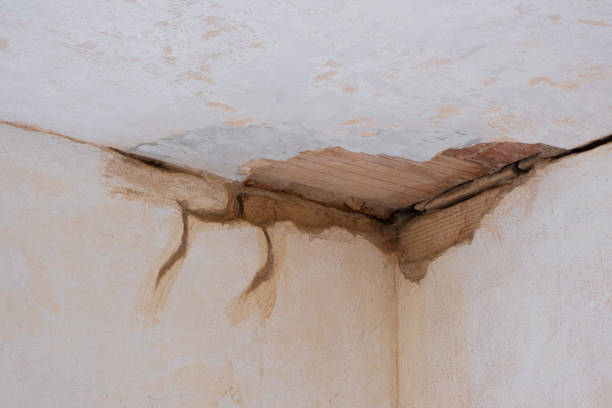  De Leon Springs, FL Water damage restoration Pros