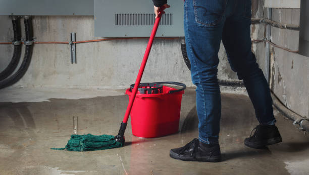 Best Water damage restoration near me  in De Leon Springs, FL