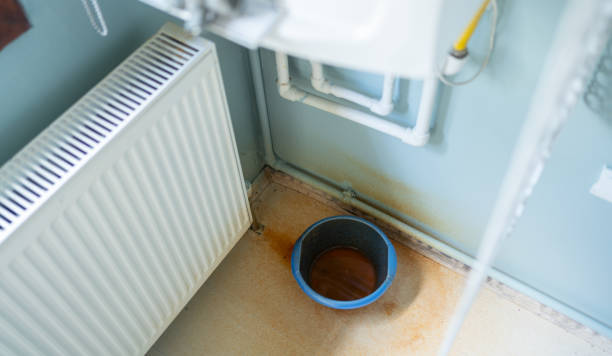 Best Mold removal after water damage  in De Leon Springs, FL