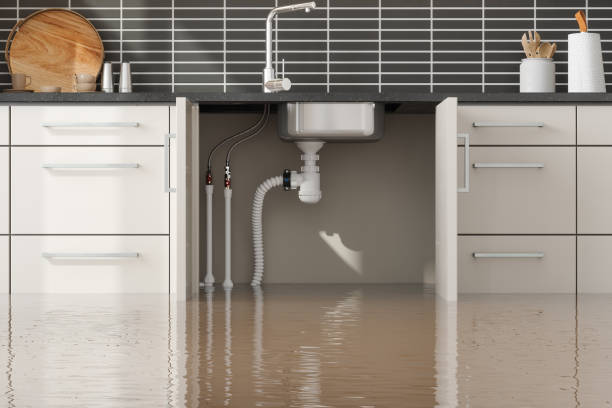 Best Residential water damage restoration  in De Leon Springs, FL